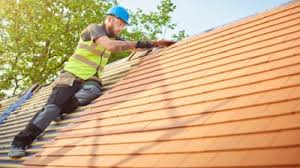 Best Roof Maintenance and Cleaning  in Lepanto, AR